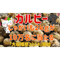 じゃがいも2kgが10万名に当たる！【カルビー大収穫祭】空き袋は捨てないで！応募方法・注目点まとめ