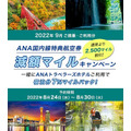 【ANA】国内線特典航空券の必要マイル引き上げ　それでもお得に特典航空券をゲットできる方法も紹介