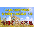 令和のコメ不足は「ふるさと納税」で解消！新米おすすめ返礼品 5選