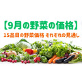 【9月の野菜の価格】野菜の高値は続く？ 農林水産省より、野菜の生育状況及び価格見通し発表