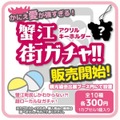 愛知県「蟹江町民まつり2024」多彩なイベントで盛り上がる週末(10/12、13)