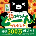 意外と貯まるJREポイント！Suica常時2％還元や1.2倍以上の交換率になる交換先など効果的な貯め方・使い方