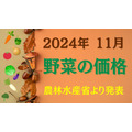 【11月の野菜の価格】農林水産省より、野菜の生育状況及び価格見通し発表