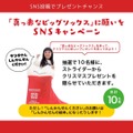 今なら「真っ赤なビッグソックス」もらえる　ストライダーのクリスマスキャンペーン