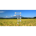「米価高騰の救世主降臨！」　焼肉ライク、岩手県産ひとめぼれ無限ごはんキャンペーン実施
