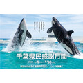 6/15は「千葉県民の日」　鴨川シーワールドでは入館料割引、マザー牧場は子ども入場無料！