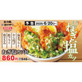 夏バテ知らず！かつやの「ねぎ塩カツ丼」が旨すぎ注意！！青ねぎ＆塩ダレで食欲爆上がり！