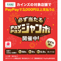 カインズで買い物して最大半額戻ってくる？ハズレ無しのPayPay還元キャンペーン
