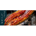 ポイント15倍＆1000円OFF！JR西日本の通販サイトで夏のダブル特典実施中