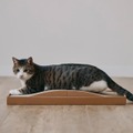 【無印良品】8月の新商品情報｜秋の味覚先取りグルメや愛猫家待望のペット用品も登場！