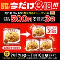 大阪王将公式通販 500円で炒飯が3袋＆餃子100個が当たるSNSキャンペーンも同時開催中