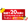 ビックカメラ「サンタさんへの手紙」をXに投稿するクリスマスキャンペーン