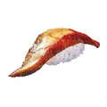 はま寿司「旨ねた夏祭り」開幕！100円均一で夏の旬ねた登場＆Xで3,000円分の食事券が当たるチャンスも