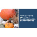 ハロウィンジャンボの1等は「12本」。売上のうち当せん金に回る額には法律の上限がある