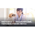 保護犬を迎えたら、予防注射は毎年の義務。手術代の助成は手術の前に確かめる