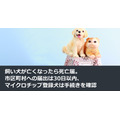 飼い犬が亡くなったら死亡届。市区町村への届出は30日以内、マイクロチップ登録犬は手続きを確認