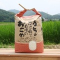 特別栽培米〈ヒノヒカリ〉精米5kg