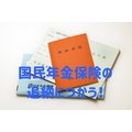 国民年金保険の追納につかう