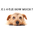 「捨て犬ポチとの20年」一生分の費用約300万円の内訳を公開
