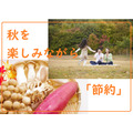 消費増税の秋を乗り切る3つの節約術　外食するなら、安く買える秋の味覚で自炊はどうですか？