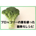 【節約レシピ】ブロッコリーの茎を使った簡単4レシピ紹介　お弁当や1品おかずにおすすめ
