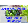【プチ菜園】キッチンで水耕「ネギ」は3度も再生　初期投資500円以内で「トマト」「なす」「ピーマン」