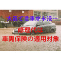 【自動車・車両保険】「大雨で車が水没」修理代は適用可　補償範囲・適用対象・保険価格の設定方法
