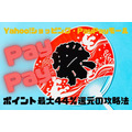 【Yahoo!ショッピング・PayPayモール】28日はグランドフィナーレ！　ポイント最大44％還元の攻略法