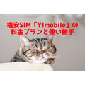 【通信費7.2万円/年を削減】格安SIM「Y!mobile」の料金プランと使い勝手