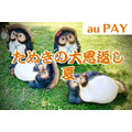 【au PAY・7/20～】「たぬきの大恩返し 夏」　ローソンの333円クーポン×4回など「4つのキャンペーン」