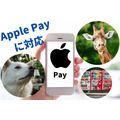 【Apple Pay】「Coke ON」に対応「WAON」「nanaco」にも年内に対応予定