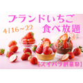 4/16～22【スイパラ創業祭】ブランドいちご食べ放題　あまおう・やよい姫を好きなだけ堪能