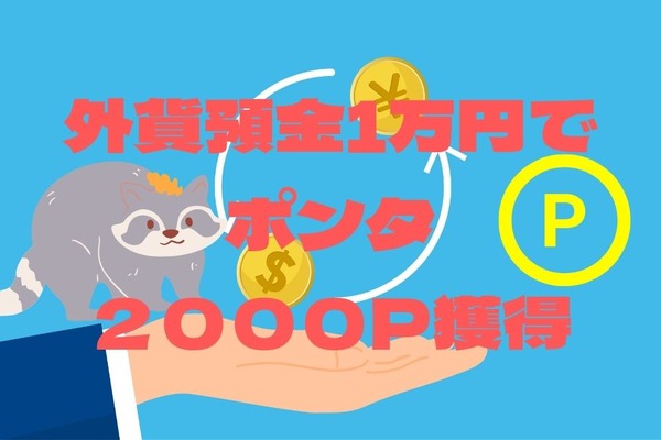 【au経済圏】外貨1万円入金で最大2000ポイントもらえる！売却差益でさらに132円プラスの体験談 画像