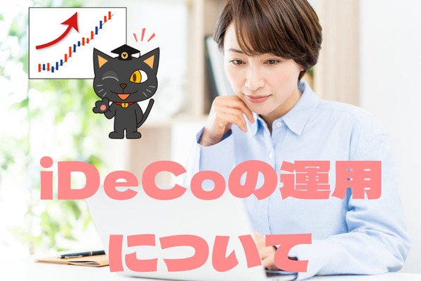 iDeCoの運用は株式100%でOK　元本確保型商品は基本的にNG 画像