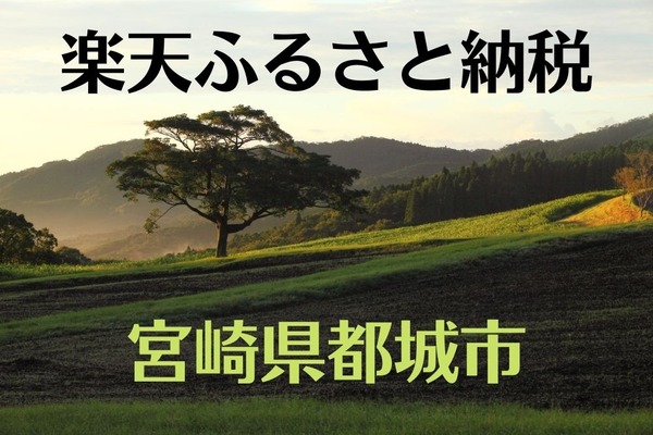 4年連続ふるさと納税大賞「宮崎県都城市」の返礼品おすすめ5選　ワンストップ特例制度にも便利 画像