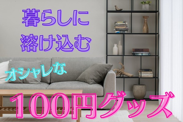 【100均で】暮らしに溶け込むオシャレなワンポイントグッズ紹介　 画像
