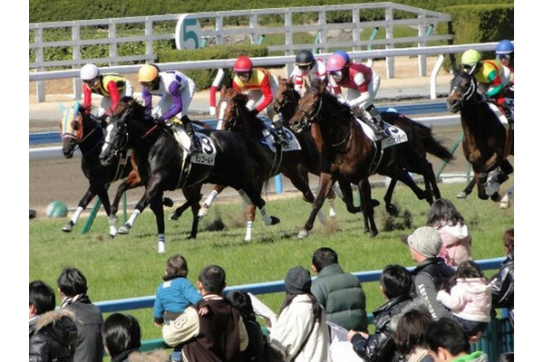 競馬と税金の曖昧な関係　はずれ馬券は経費として認められるか？ 画像