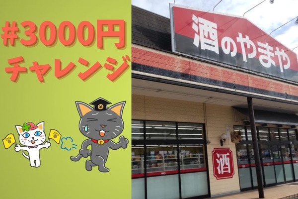 【やまや】節約主婦がお買物　「#3000円チャレンジ」で買った商品公開・注目理由7点紹介 画像