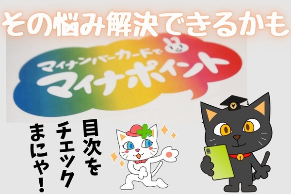 【目次から探せる】マイナンバーカード・マイナポイント　申請お助けガイド 画像