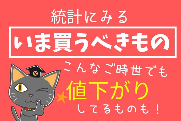 2022年最新統計にみる「いま買うべきもの」3つ　値上げ率ワースト10や逆に安いもの、月6500円分の家計補填策が鍵 画像