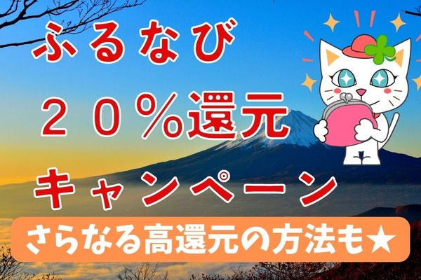 【ふるなび】20％還元キャンペーンをさらに3％アップさせる裏ワザを紹介　PayPayやd払いを使ってダブルでお得に 画像