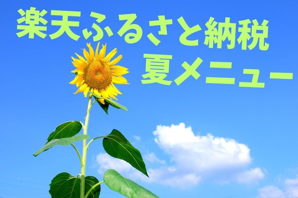 【楽天ふるさと納税】暑い日のおうちごはん高コスパ5選　★4.6以上高評価、高級レトルト・冷凍食品、そうめんなど 画像