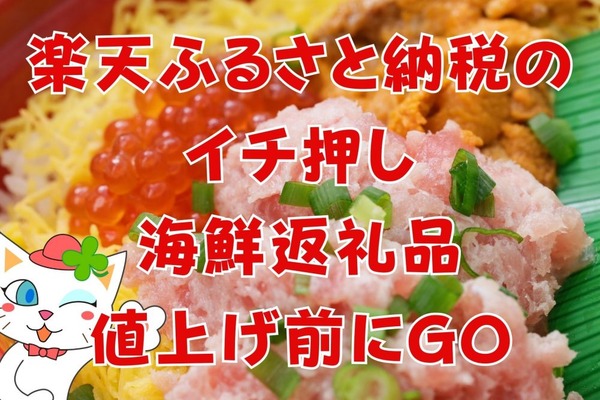 【楽天ふるさと納税】値上げ前の9月末までに注文必須！コスパ＆品質いち押しの海鮮5選 画像