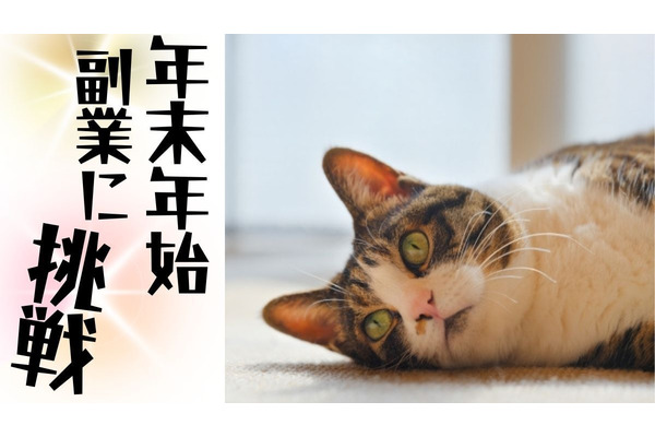 年末年始の副業事情　3日間で約3万円、副業のきっかけにもなる 画像