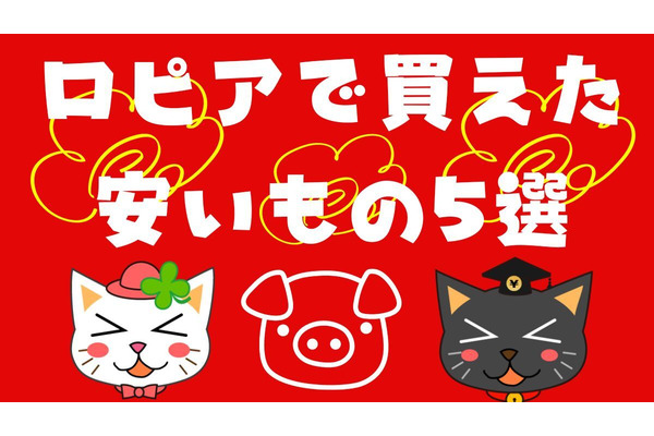 「食生活ロピア」で他店より安い商品5選　まとめ買いはアレができるか考える 画像