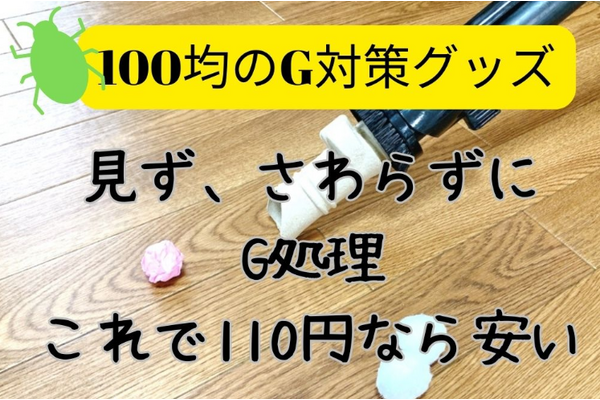 【被害多発】ゴキブリ処理を業者に頼んで数十万の請求！ダイソーで購入神グッズを試してみた！※虫画像なし 画像