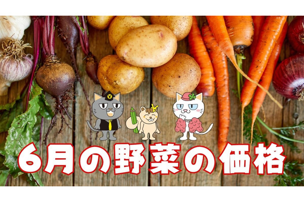 【6月の野菜の価格】野菜の価格がようやく落ちつく　農林水産省より、野菜の生育状況及び価格見通し発表 画像