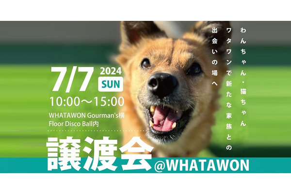大阪岸和田で保護犬・保護猫譲渡会、ワタワンわんマルシェ開催　施設内ペットの同伴可能！ 画像