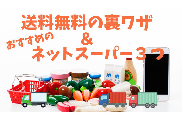 ネットスーパーでラクして節約！送料無料の裏ワザとお得に買い物できるネットスーパー3選 画像