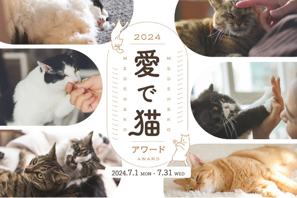 「愛で猫アワード2024」開催、応募期間は7月1日から31日まで 画像